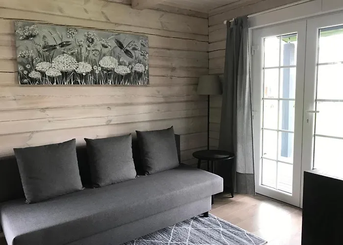 Atostogu Namelis Laukys * Druskieniki